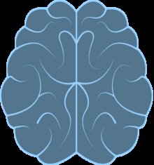 brain_sirid
